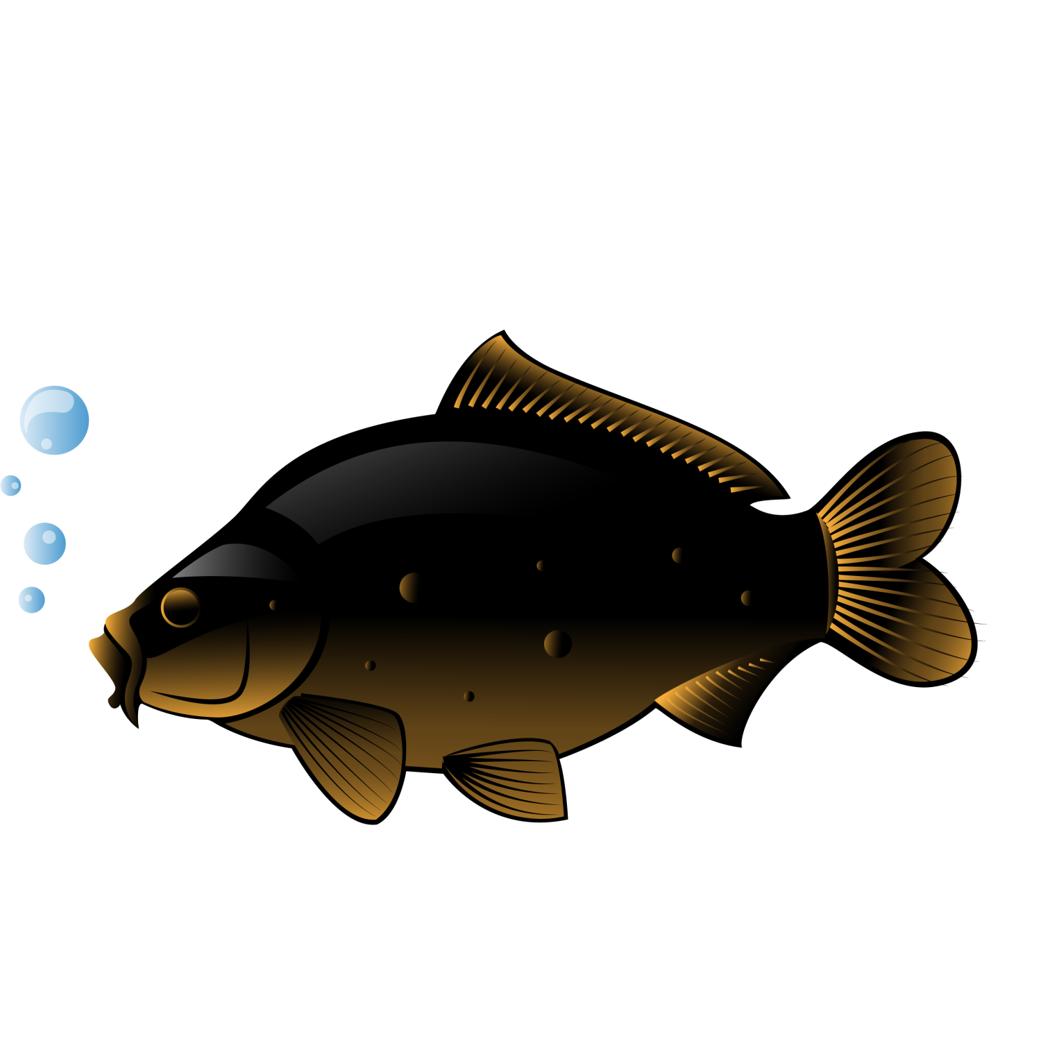 vector free download fish - photo #11
