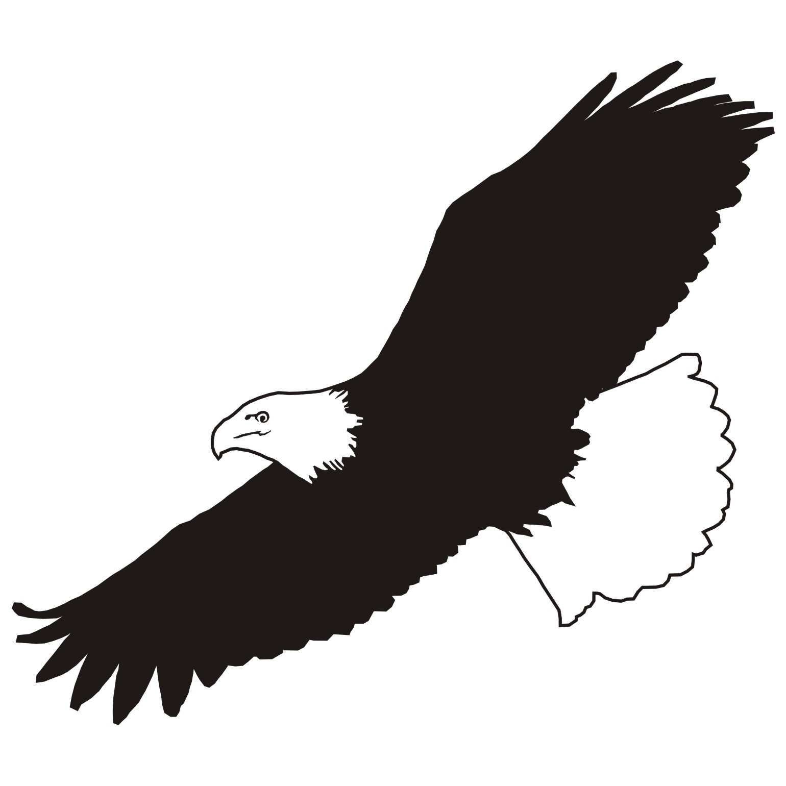 free eagle clipart black and white - photo #48