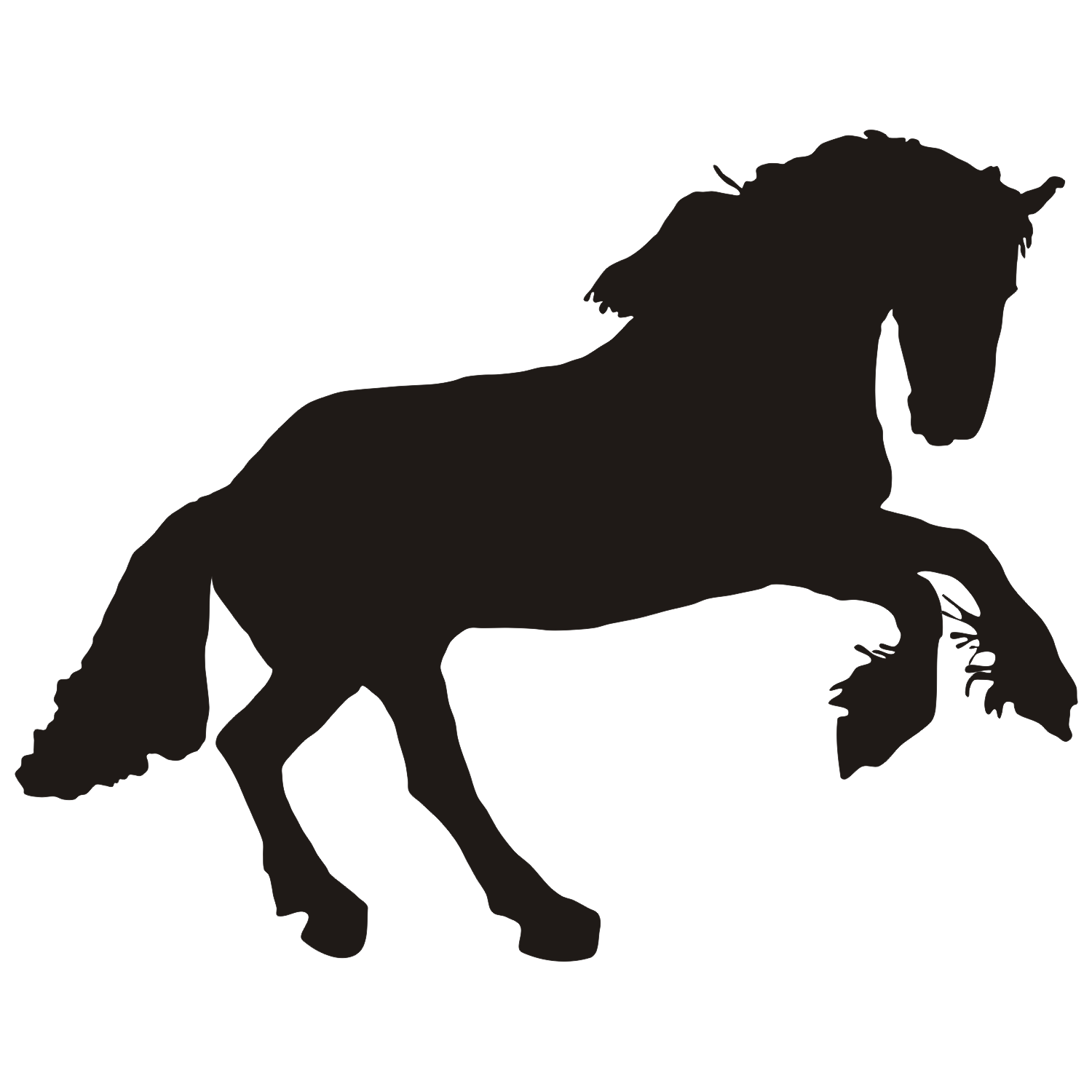 Vector for free use: Black horse vector