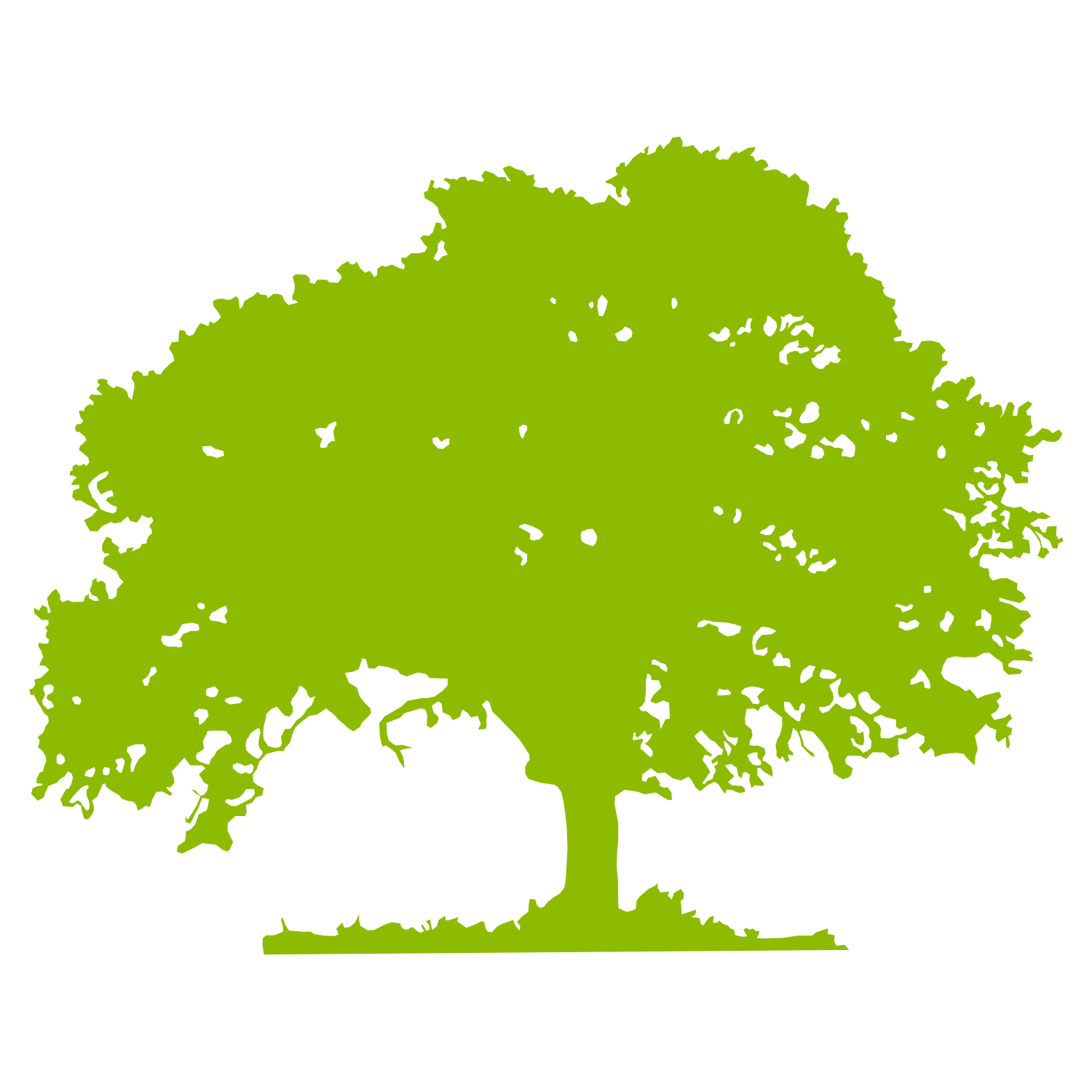 tree free clipart - photo #32