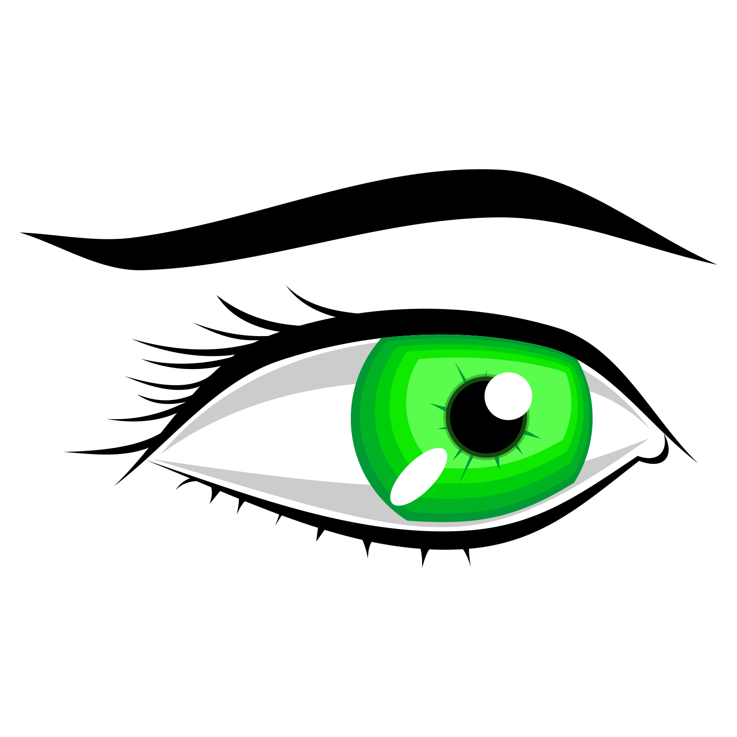 Eye Vector Image