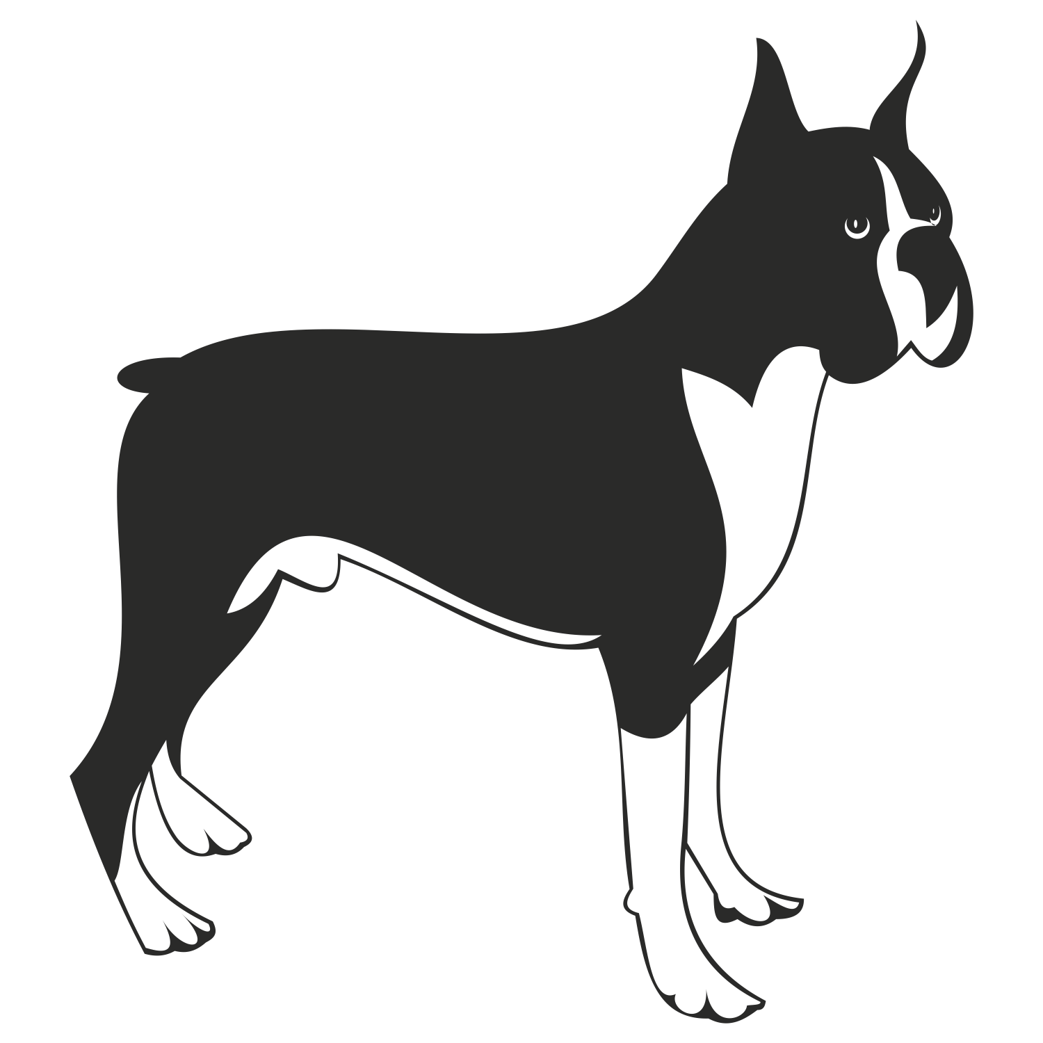 Download Vector for free use: Boxer dog vector