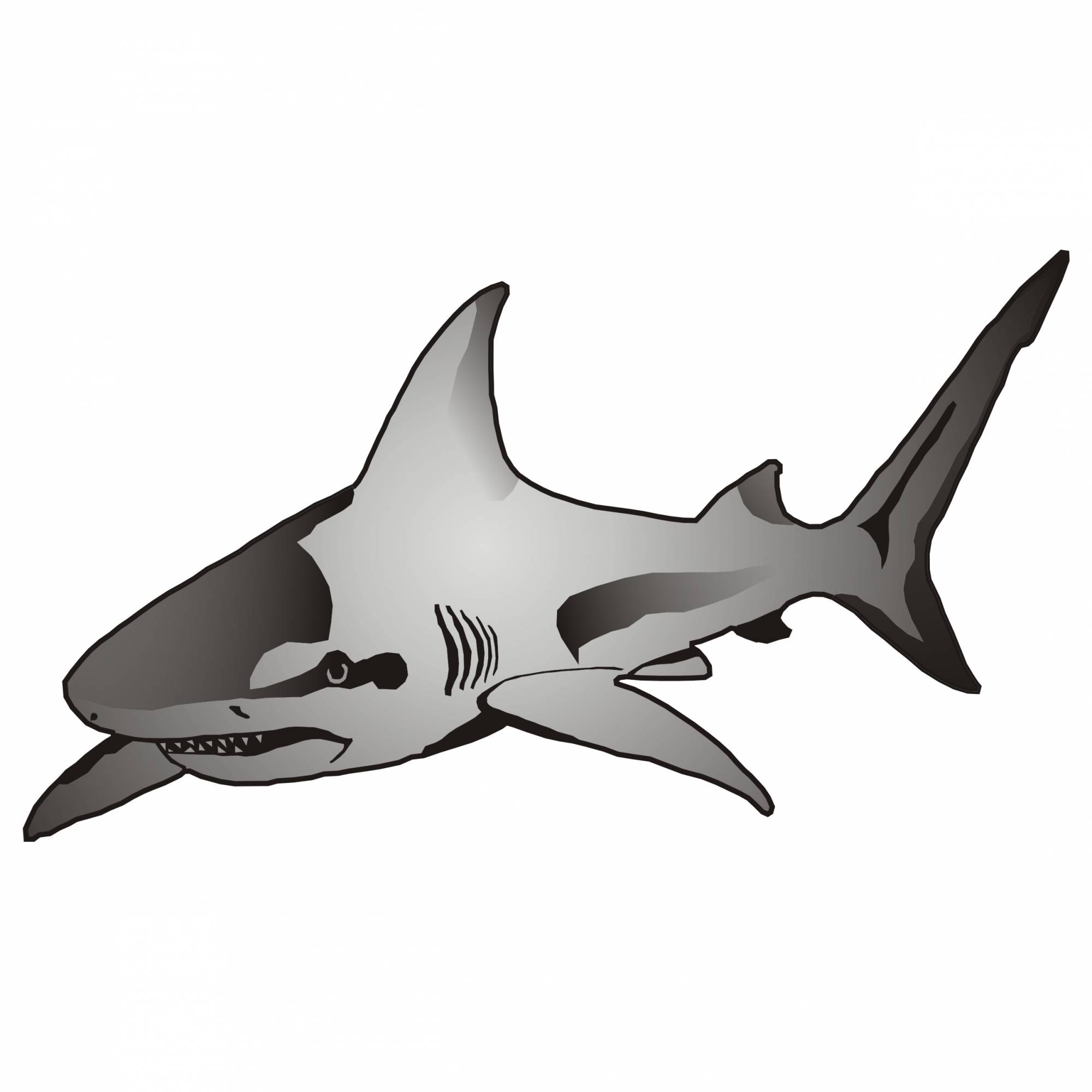 Download Vector for free use: Shark