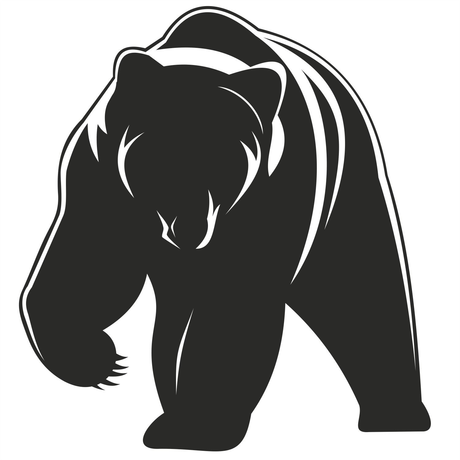 Download Vector for free use: Bear vector